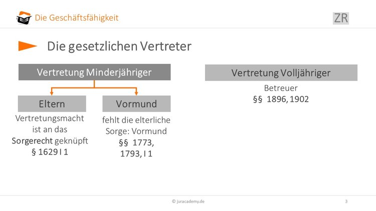 die-gesetzlichen-vertreter image