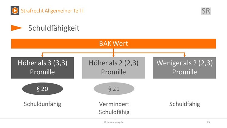 schuldfaehigkeit Bitte Beschreibung eingeben